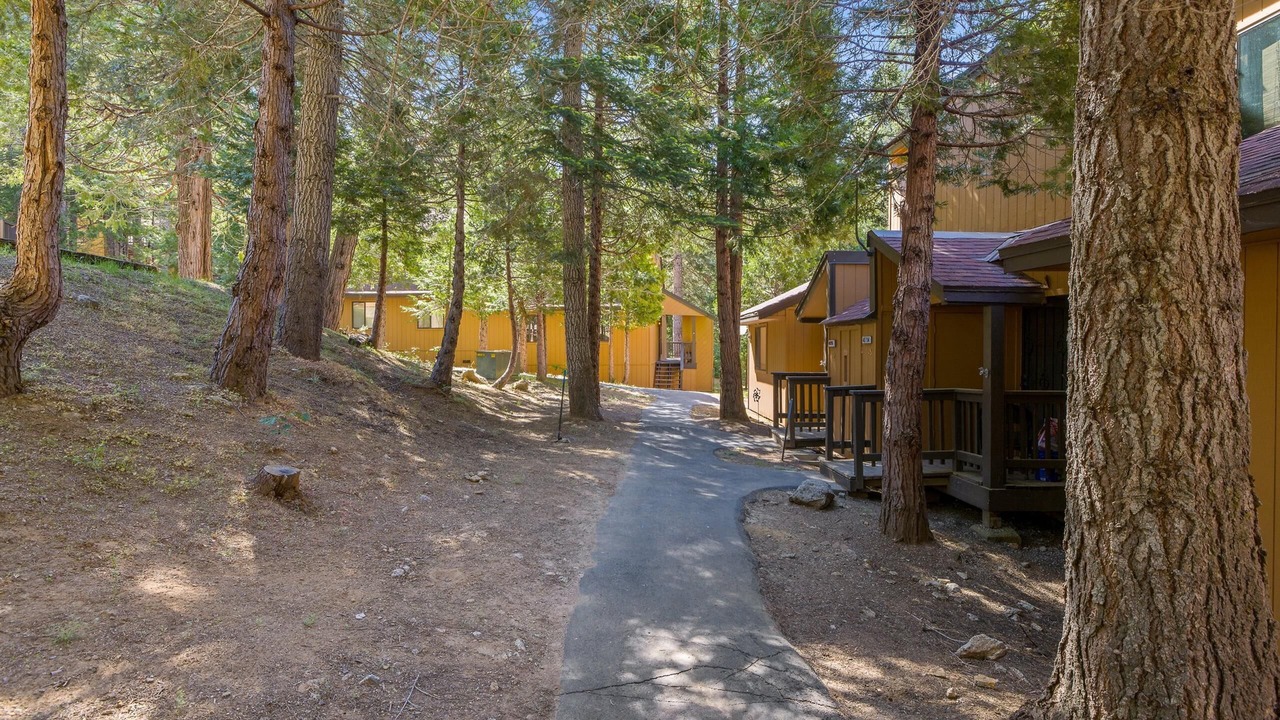 Photo of Outdoor in Shaver Lake