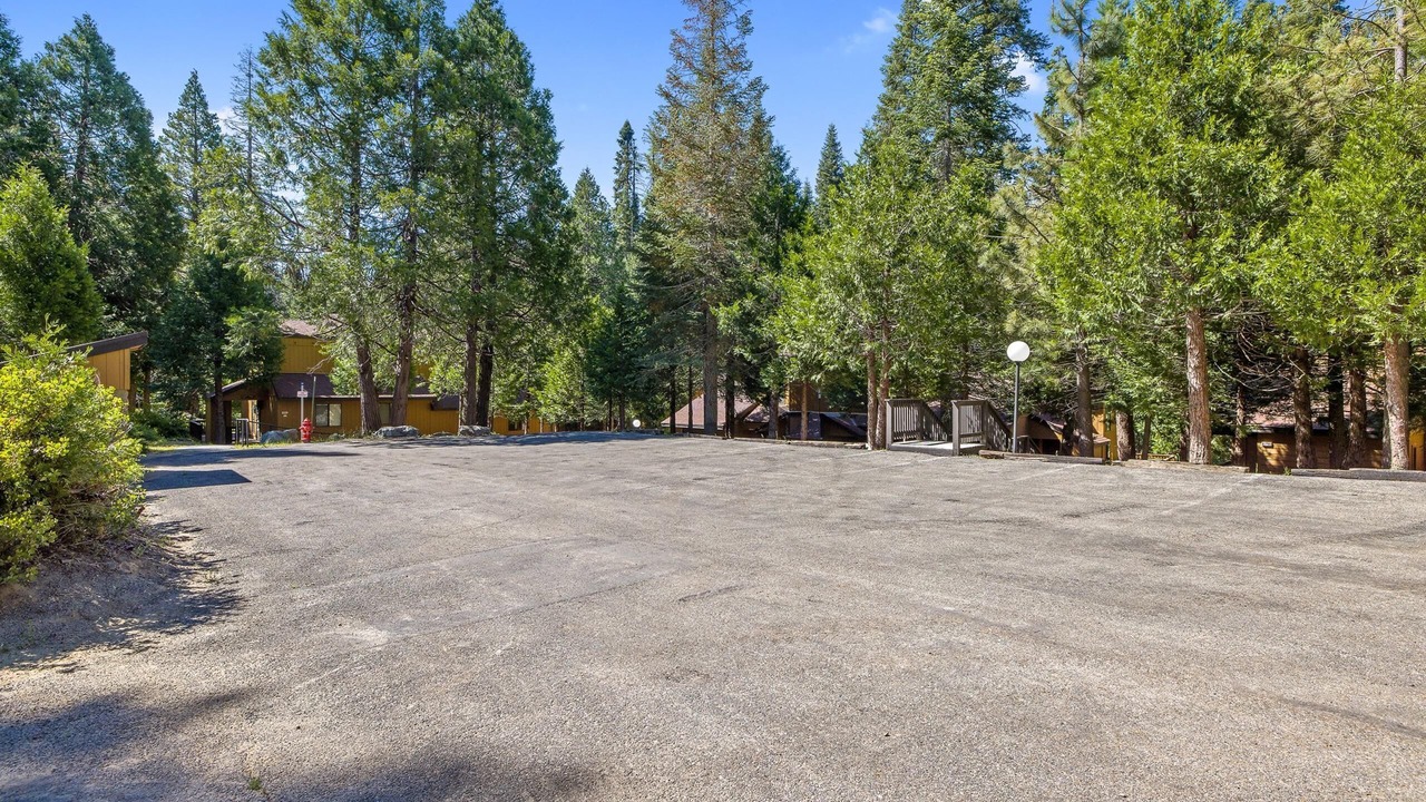 Photo of Outdoor in Shaver Lake