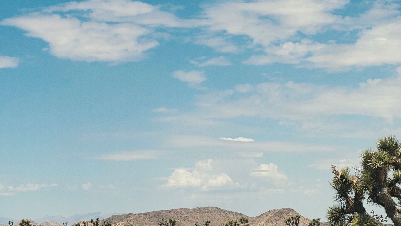 Photo of Others in Wonder Valley