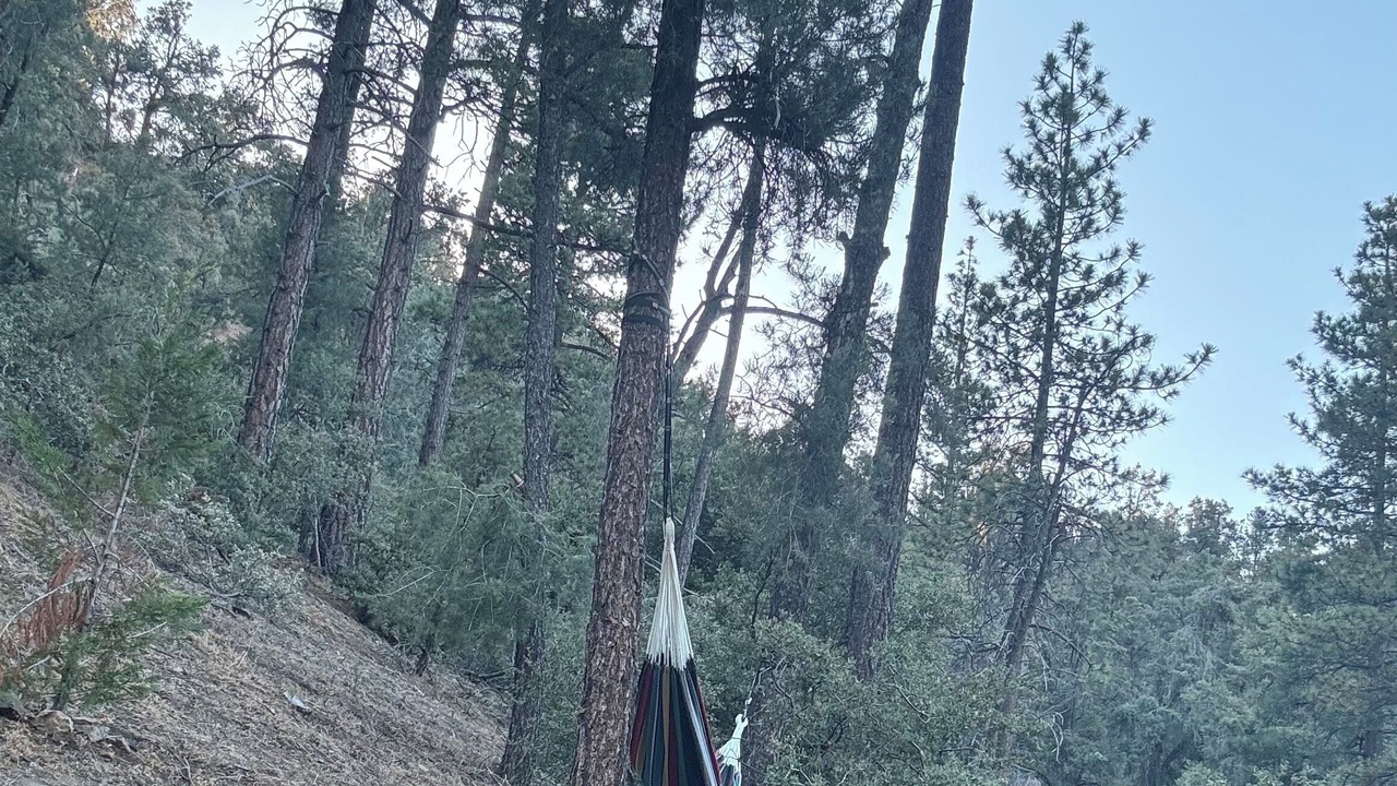 Photo of Others in Pine Mountain Club
