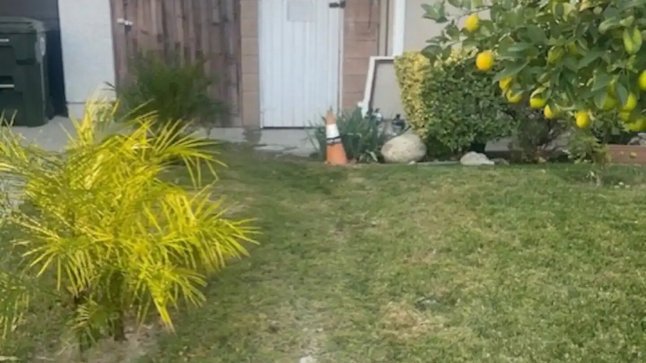 Photo of Outdoor in Canyon Country