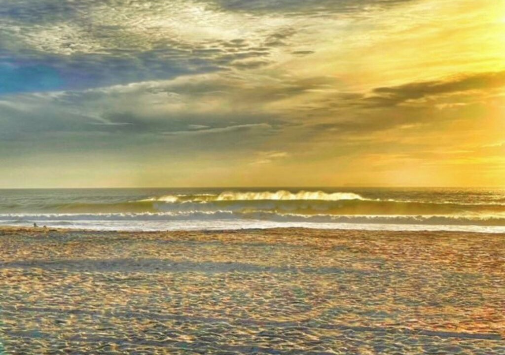 Photo of Others in Oxnard Shores