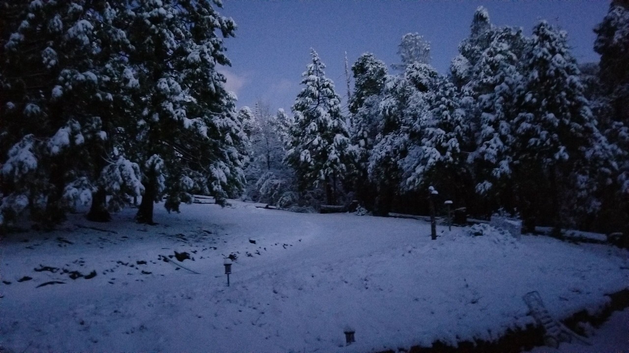 Photo of Others in Mariposa