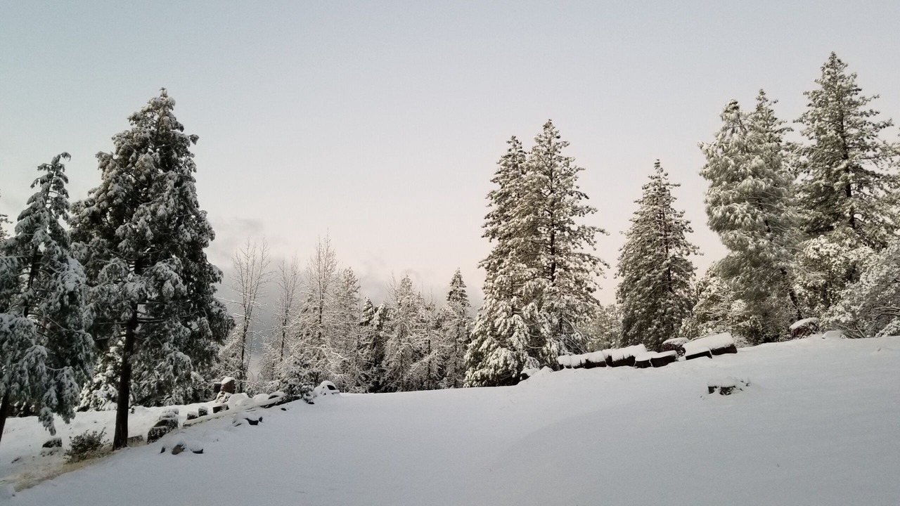 Photo of Others in Mariposa