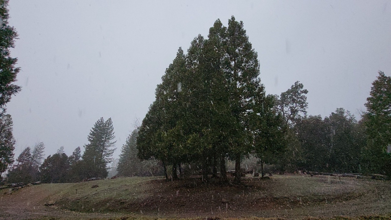 Photo of Others in Mariposa