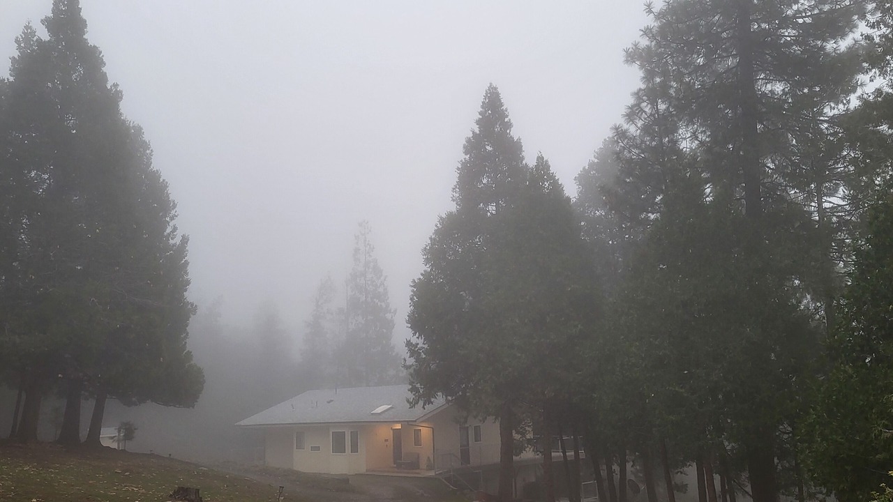 Photo of Outdoor in Mariposa