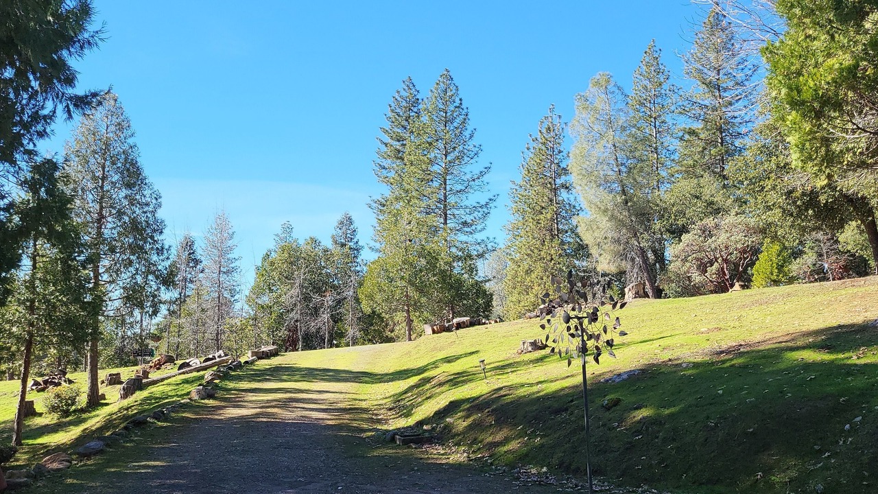 Photo of Others in Mariposa