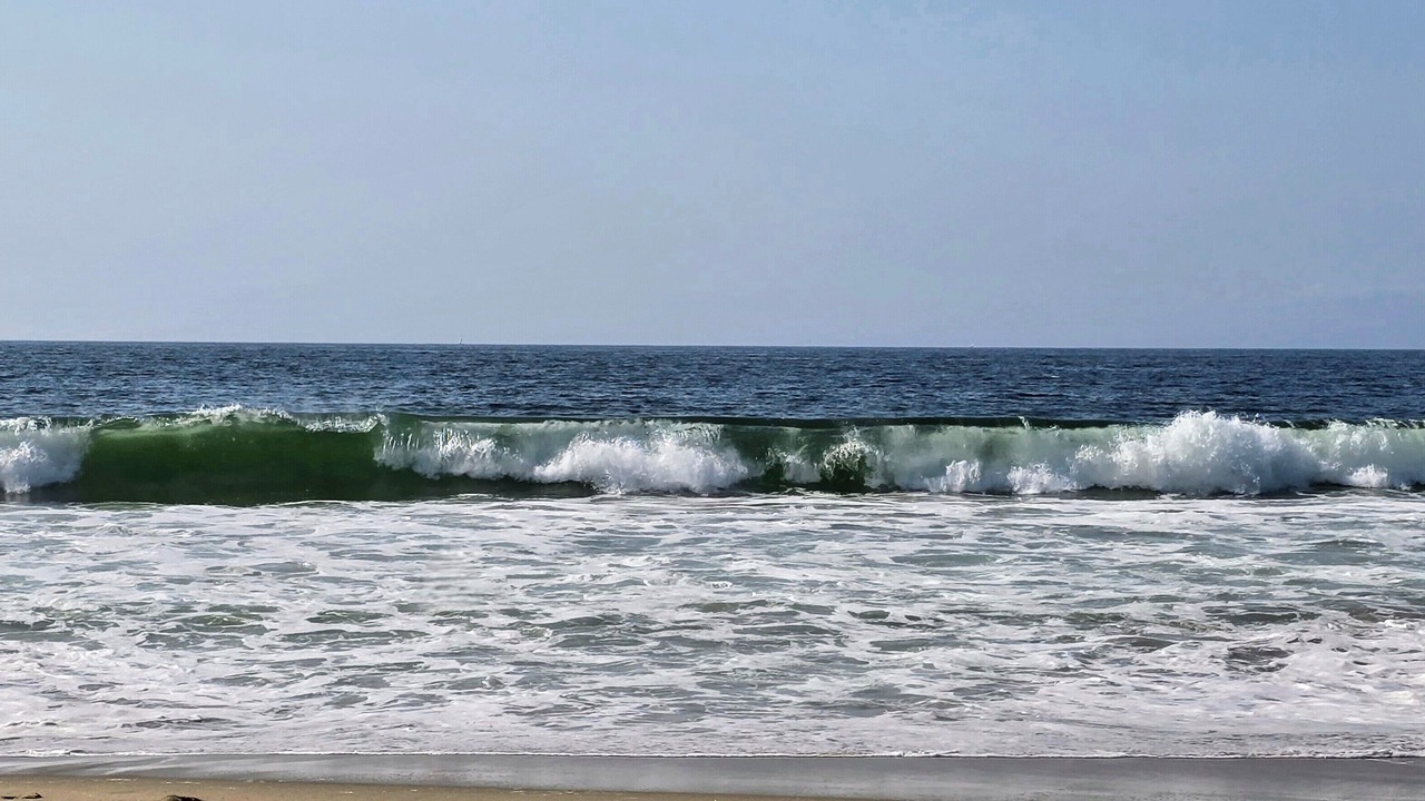 Photo of Others in South Redondo