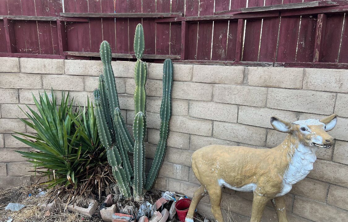Photo of Outdoor in Palmdale