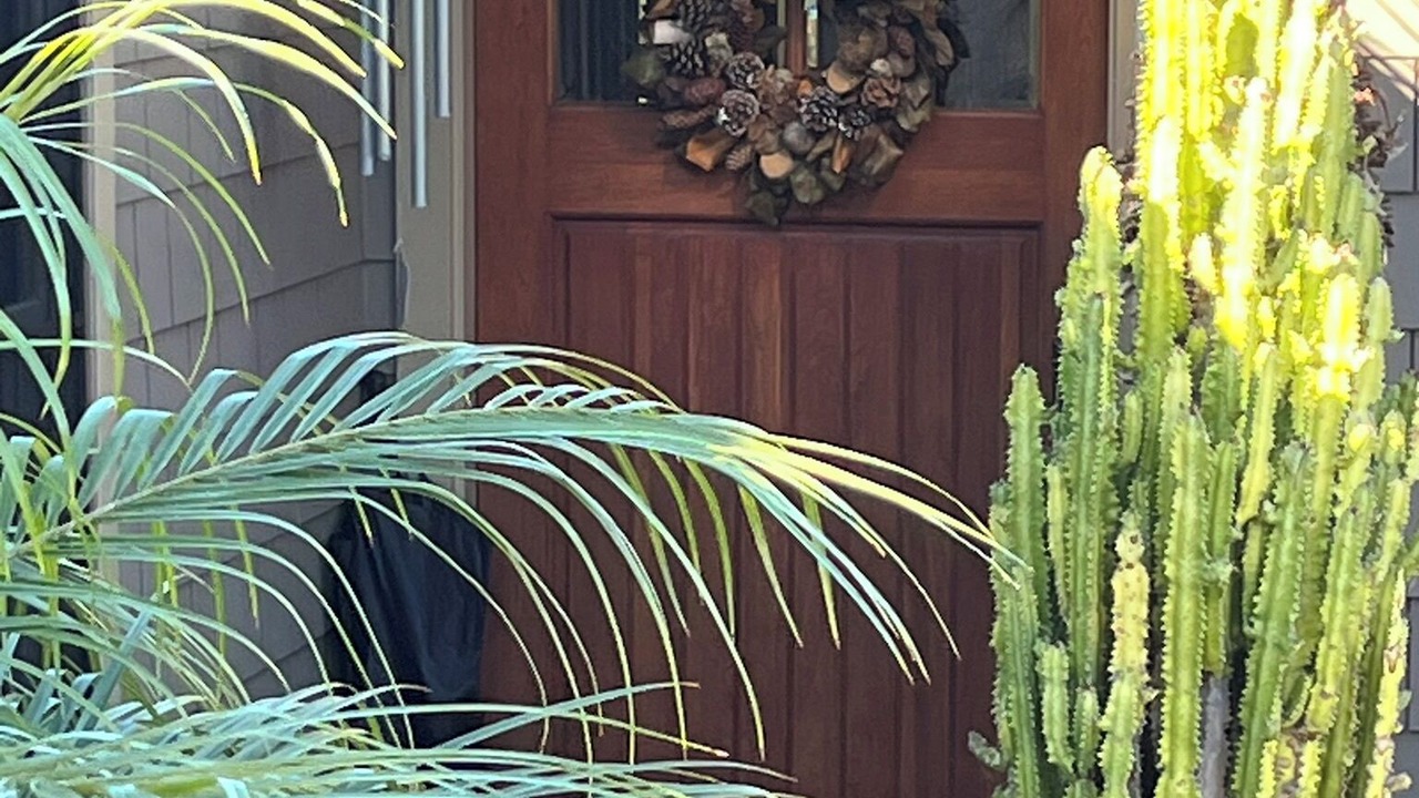 Photo of Outdoor in Mission Canyon