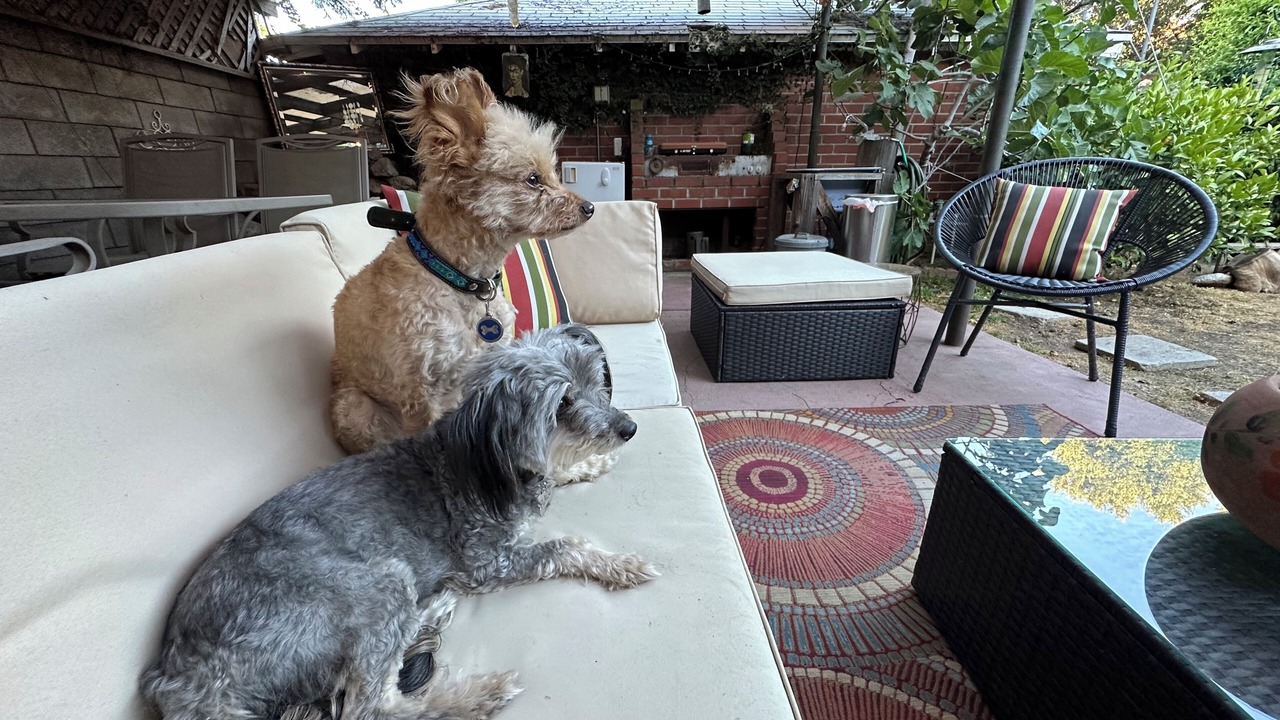 Photo of Outdoor in Eagle Rock