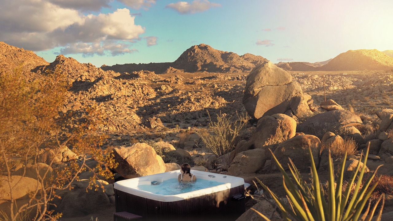 Photo of Others in Joshua Tree