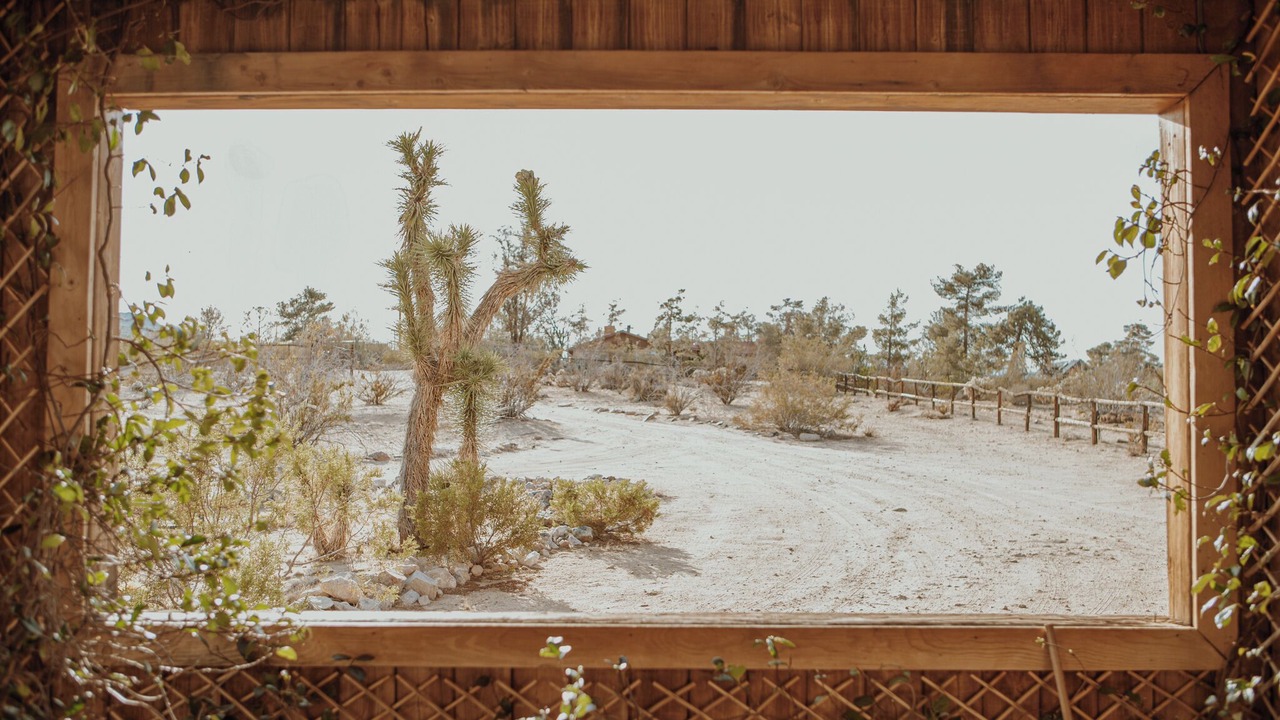 Photo of Others in Joshua Tree