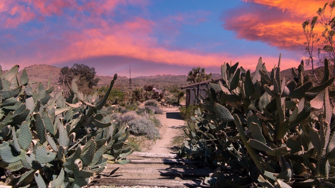 Photo of Outdoor in Joshua Tree Highlands