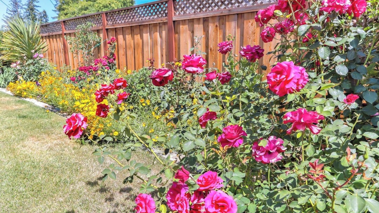 Photo of Outdoor in Santa Clara