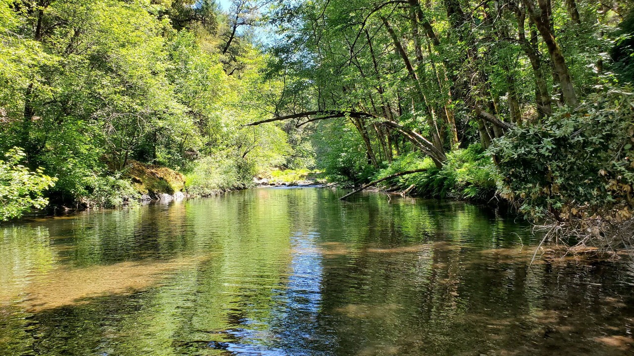 Photo of Others in Shelter Cove