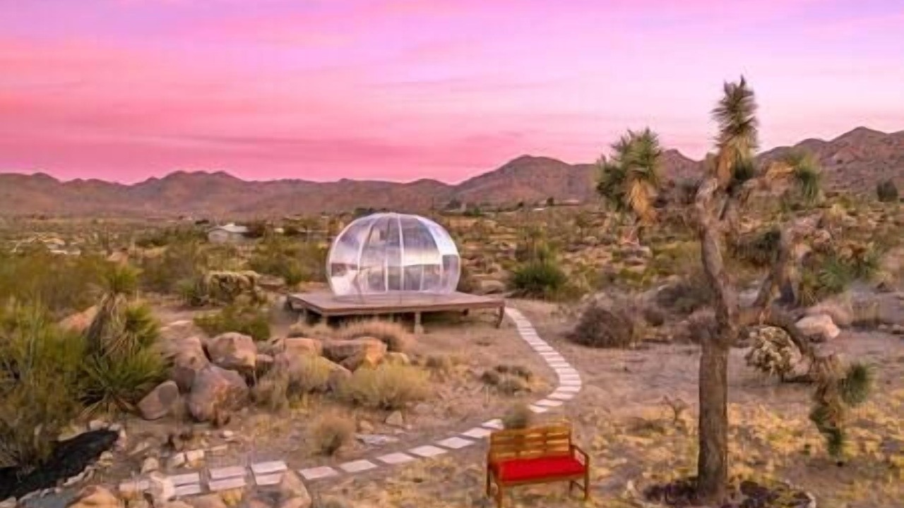 Photo of Others in Joshua Tree Highlands