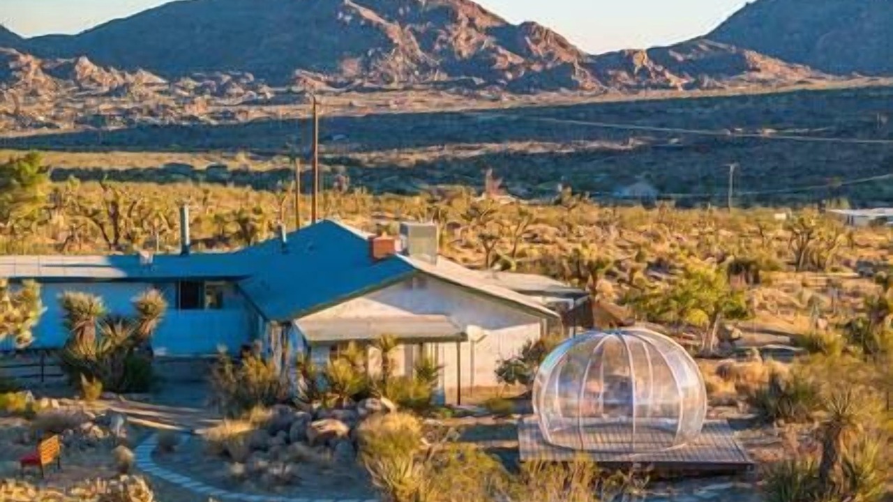 Photo of Others in Joshua Tree Highlands