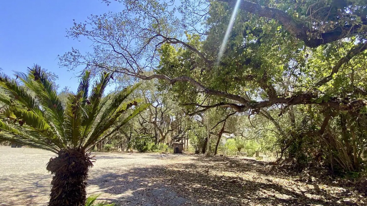 Photo of Outdoor in North Ridge