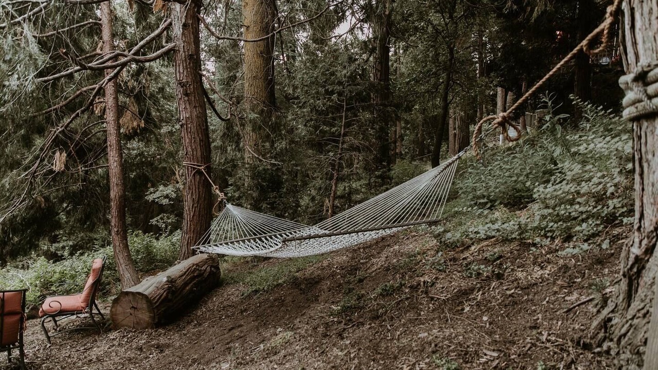 Photo of Outdoor in Cedarpines Park