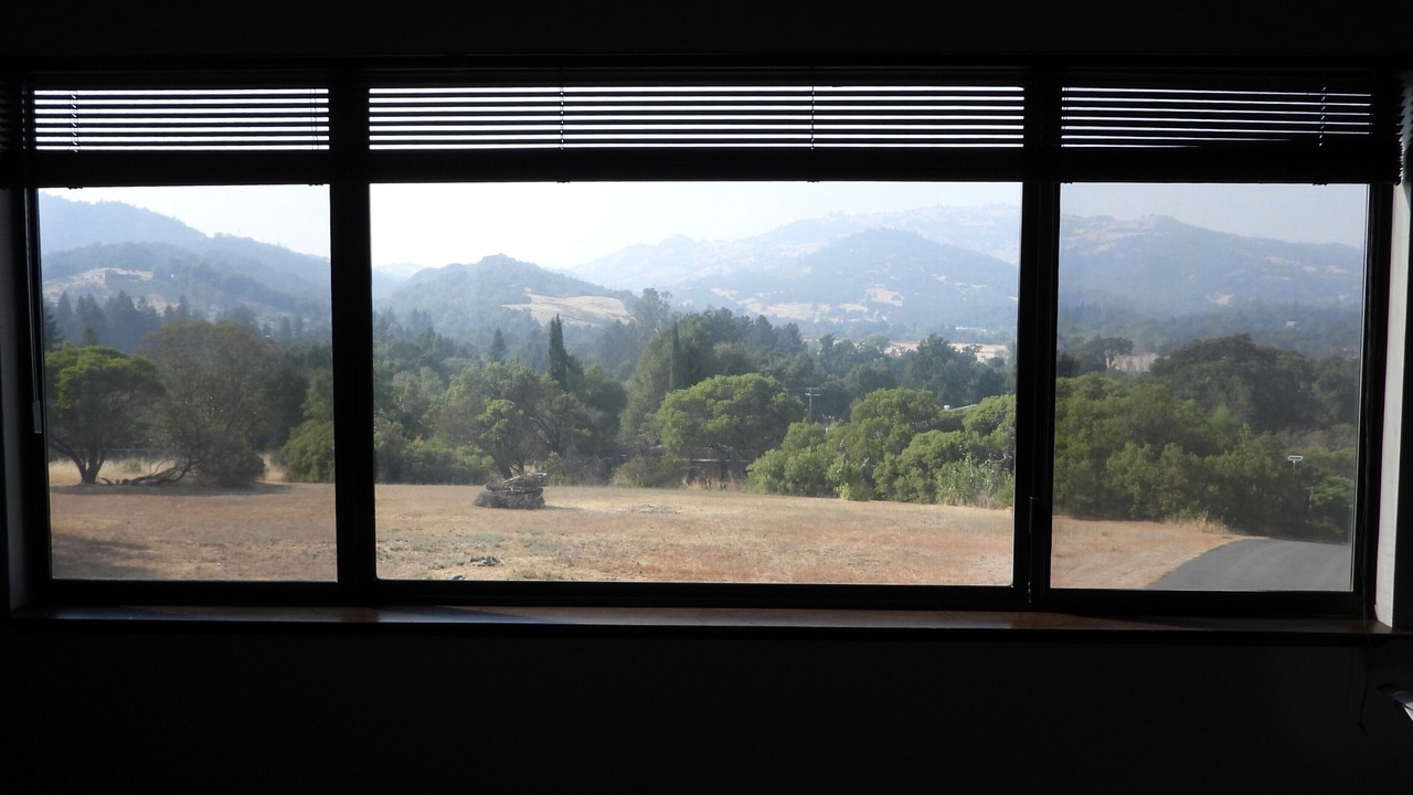 Photo of Others in Redwood Valley