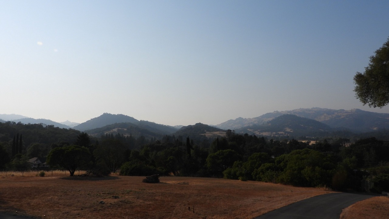 Photo of Others in Redwood Valley