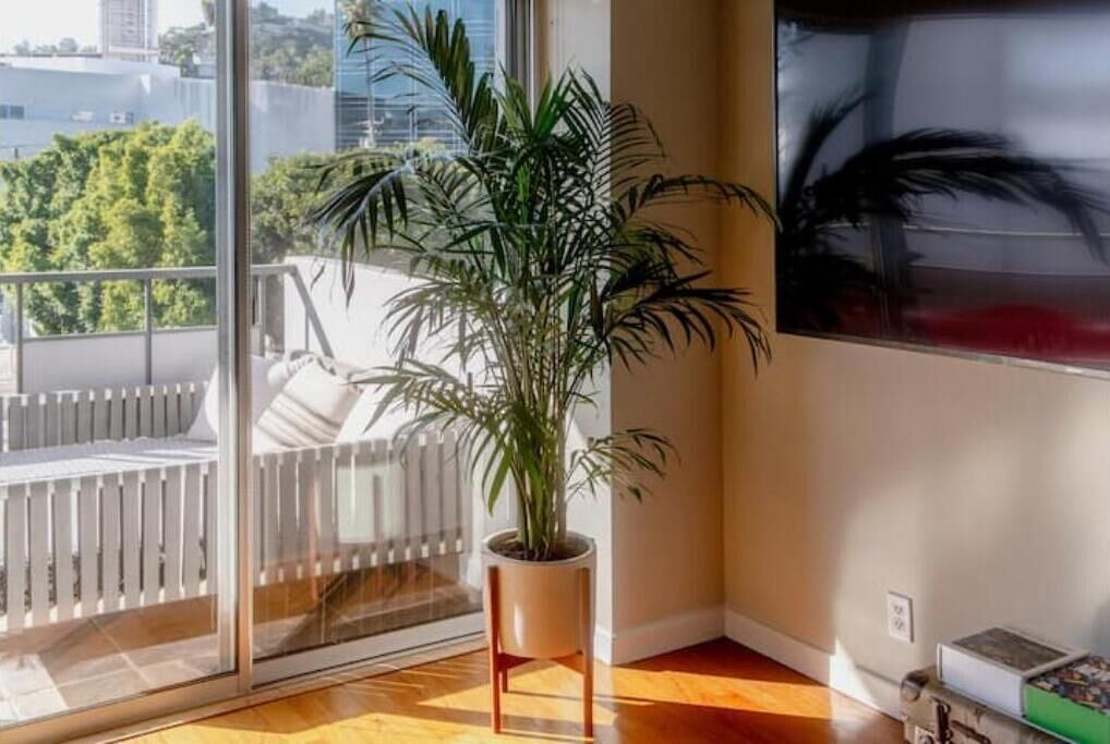 Photo of Livingroom in Norma Triangle