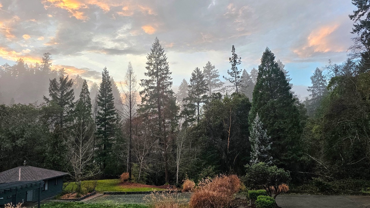 Photo of Outdoor in Willow Creek