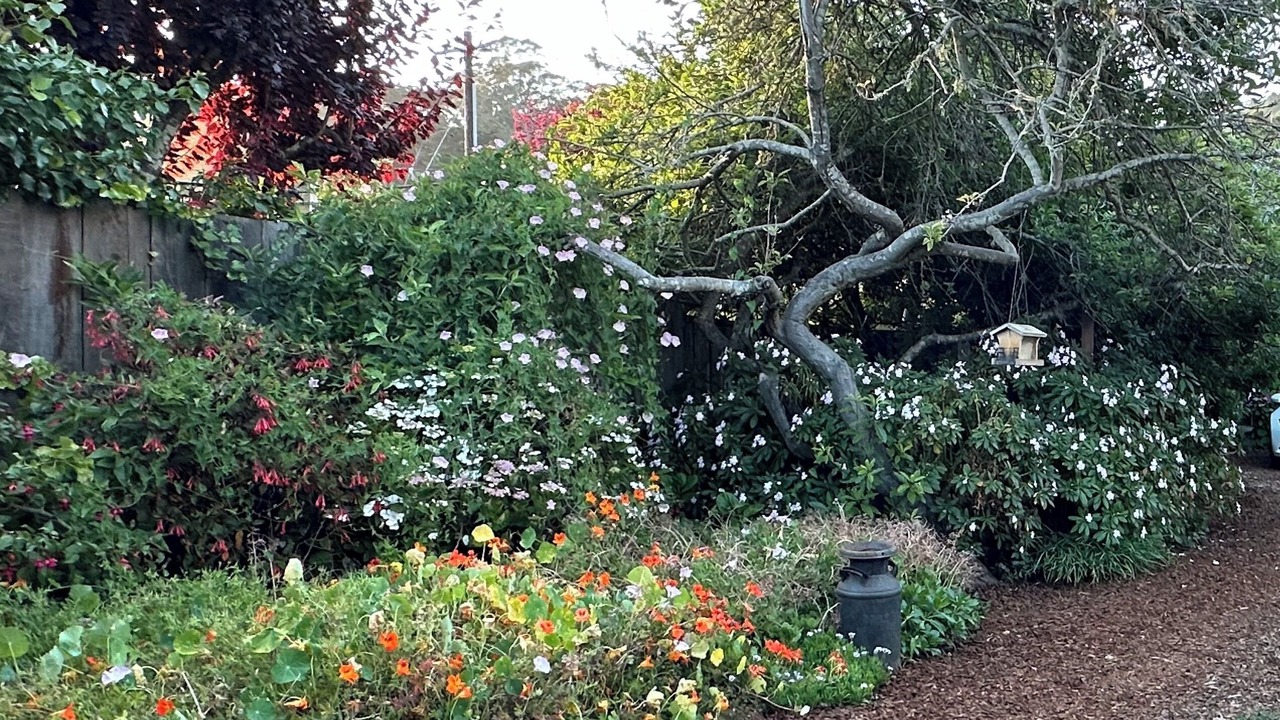 Photo of Outdoor in Stinson Beach