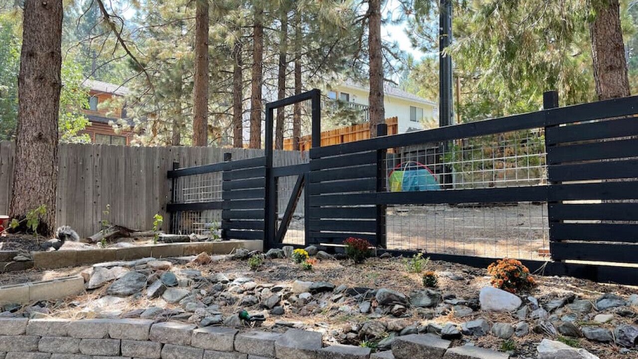 Photo of Others in Wrightwood