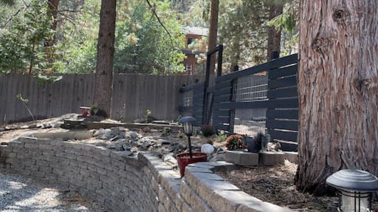Photo of Others in Wrightwood