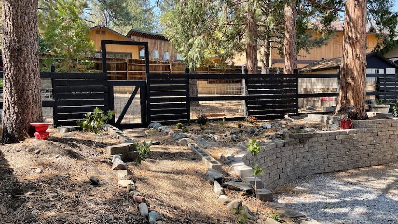 Photo of Others in Wrightwood