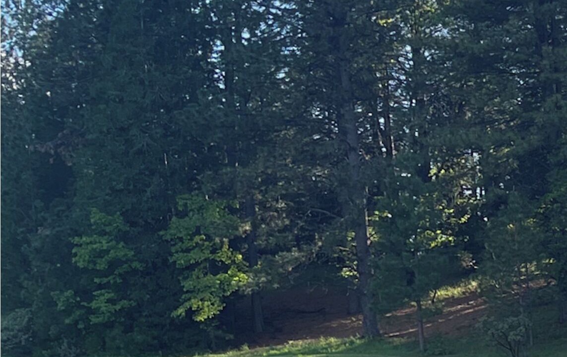 Photo of Others in Apple Hill