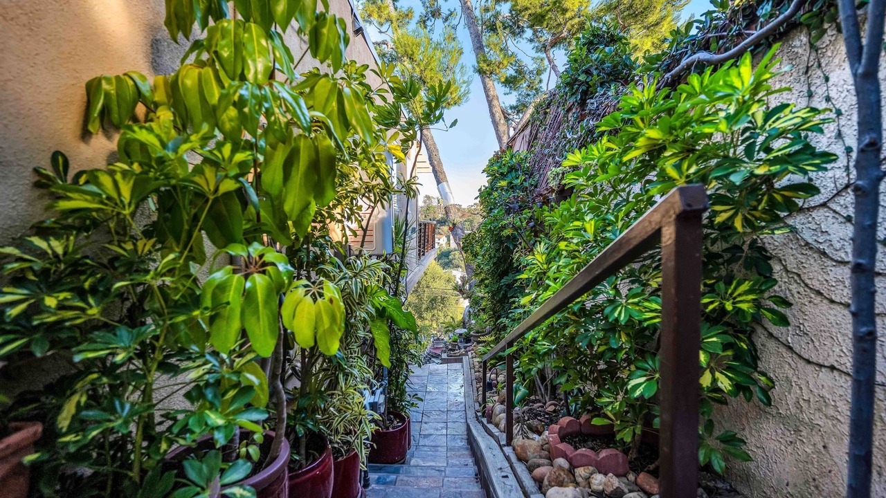 Photo of Others in Hollywoodland