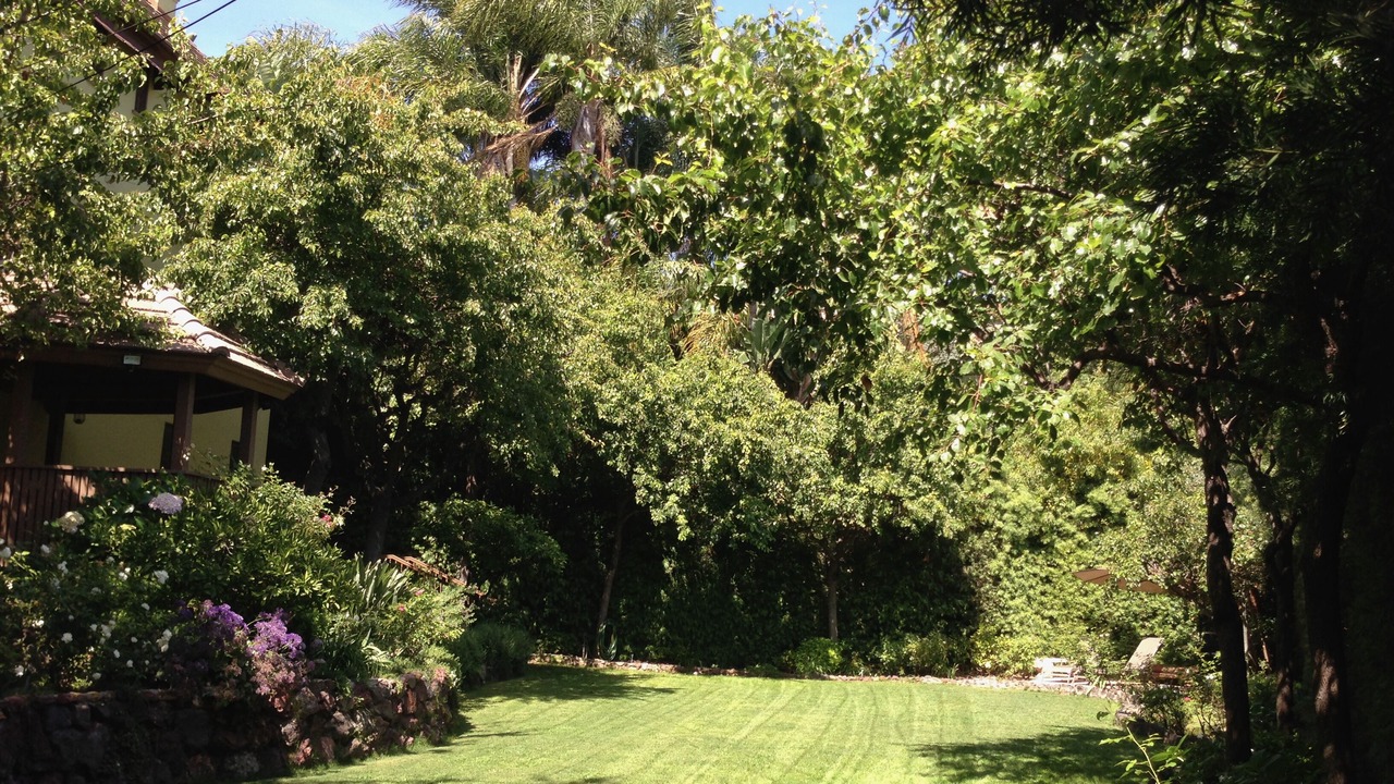 Photo of Outdoor in Los Feliz