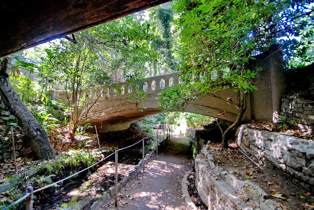 Photo of Outdoor in Los Feliz