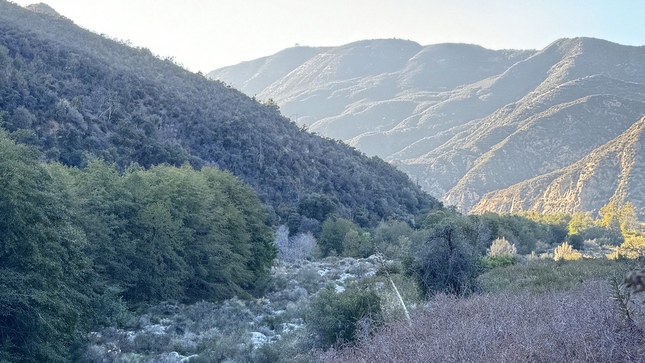 Photo of Others in Mentone