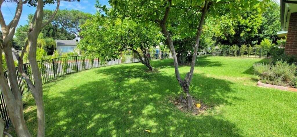 Photo of Outdoor in Valley Glen