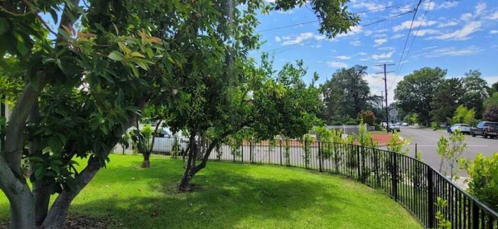 Photo of Outdoor in Valley Glen