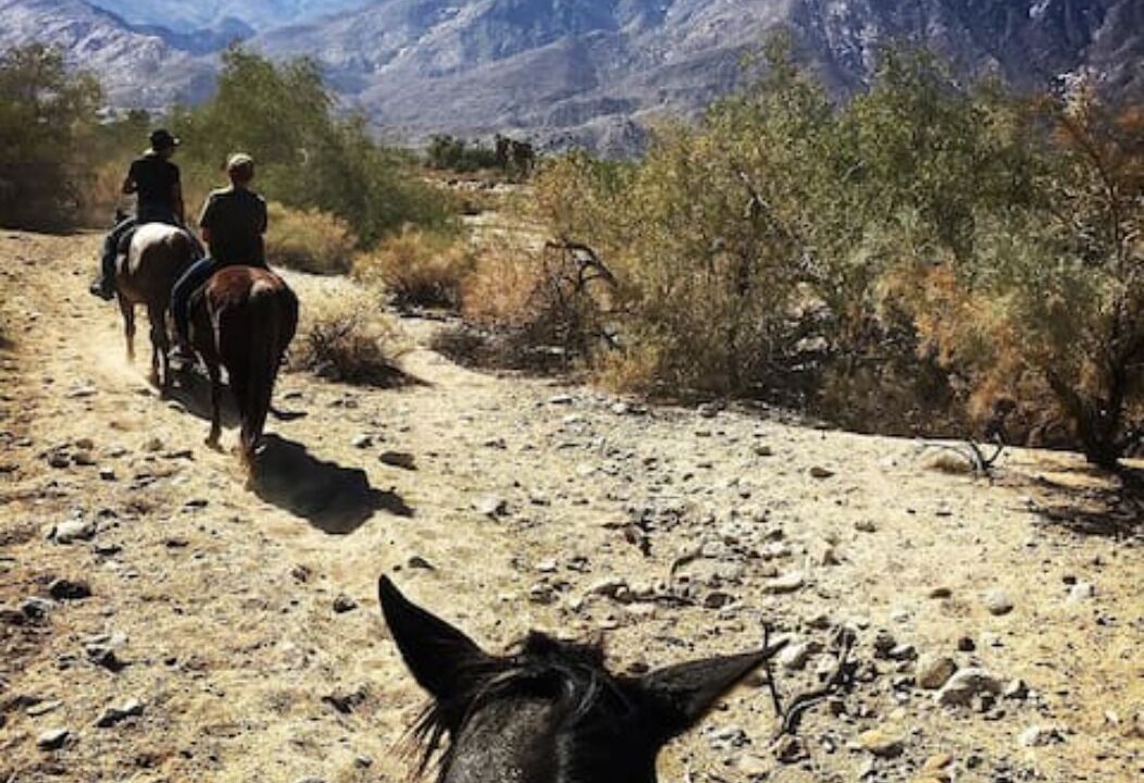 Photo of Outdoor in Canyon Corridor