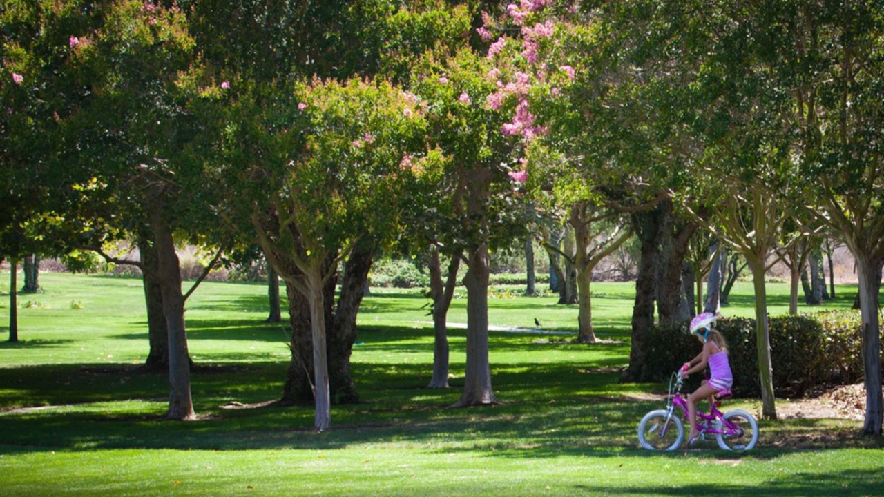 Photo of Others in Aliso Viejo