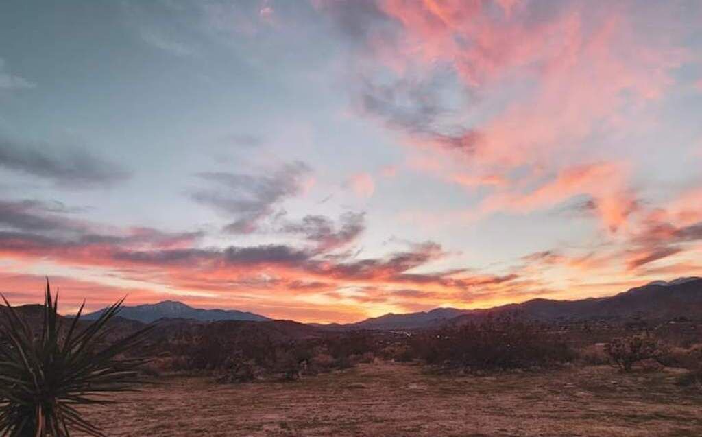 Photo of Others in Morongo Valley