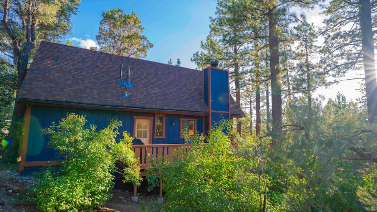 Photo of Outdoor in Whispering Forest