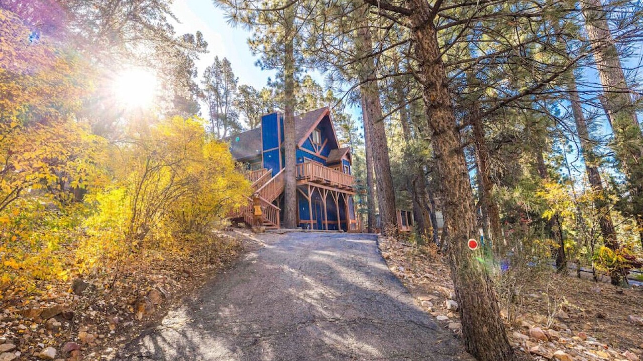 Photo of Outdoor in Whispering Forest