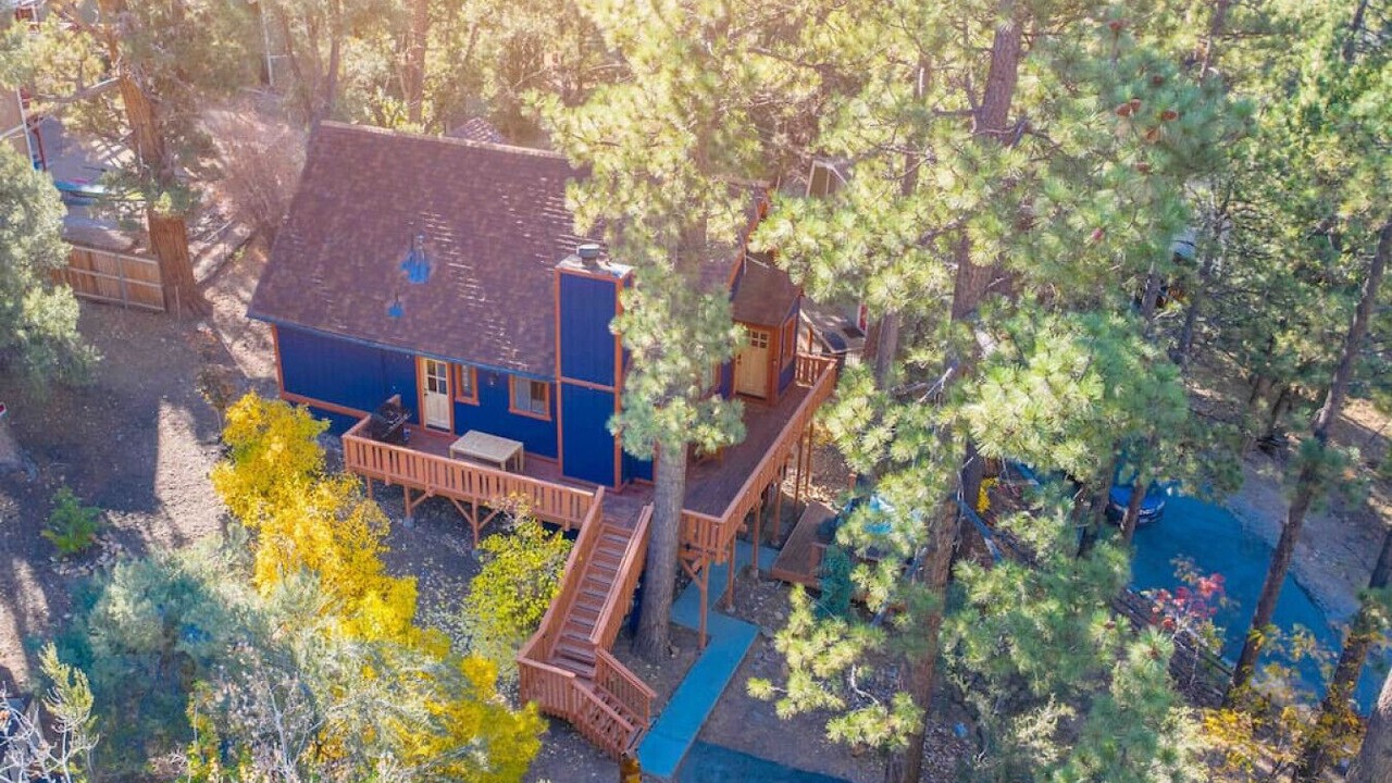 Photo of Outdoor in Whispering Forest