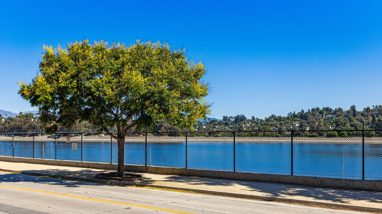 Photo of Others in Silver Lake