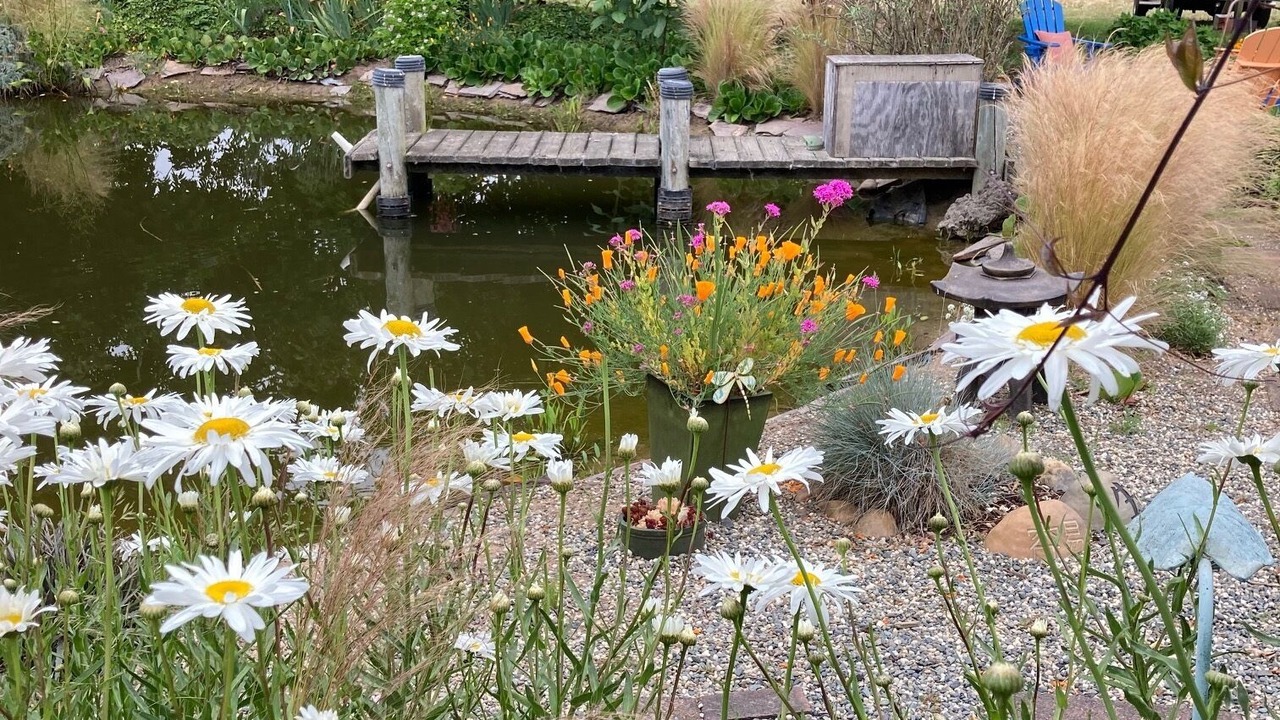 Photo of Outdoor in Sebastopol
