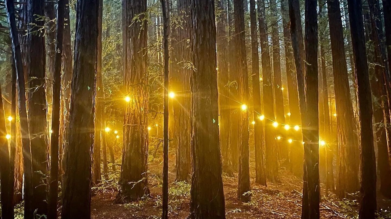 Photo of Others in Mill Valley