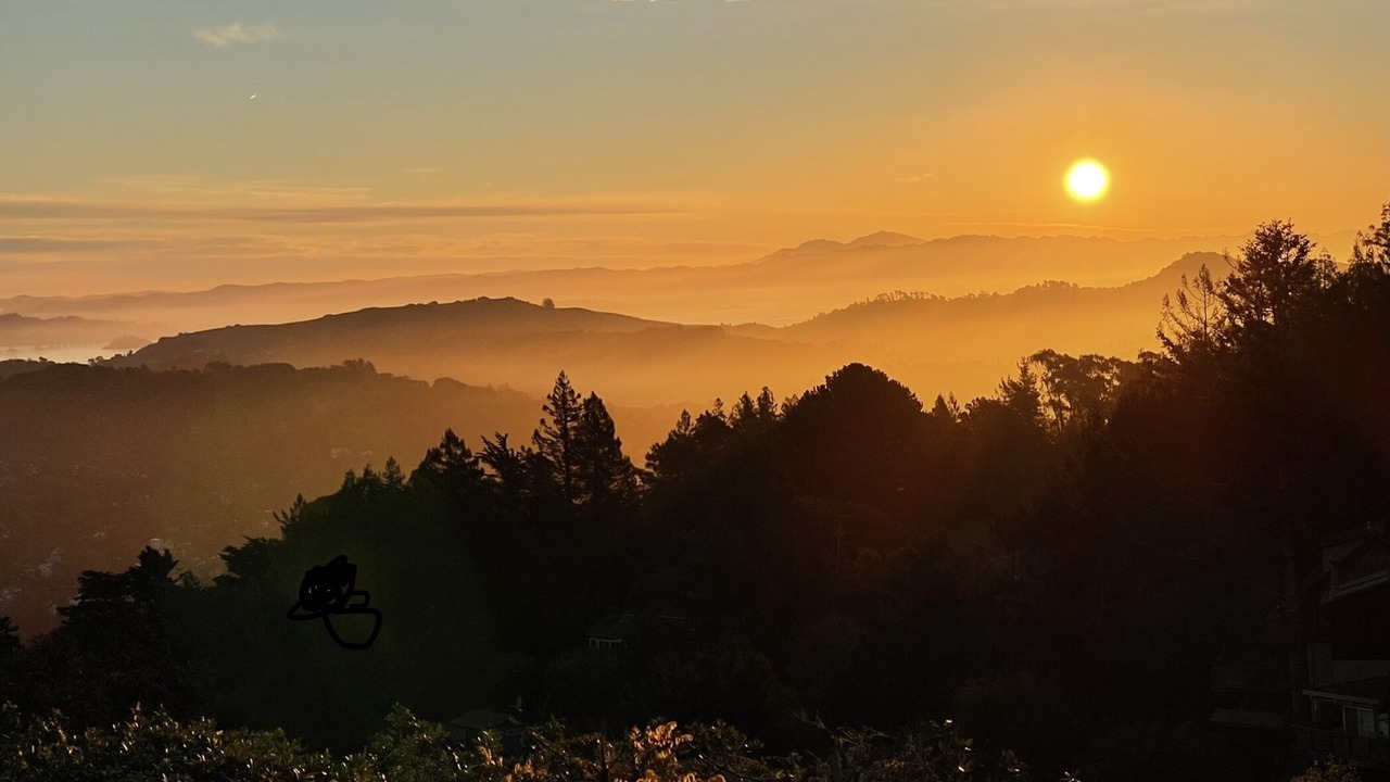 Photo of Others in Mill Valley