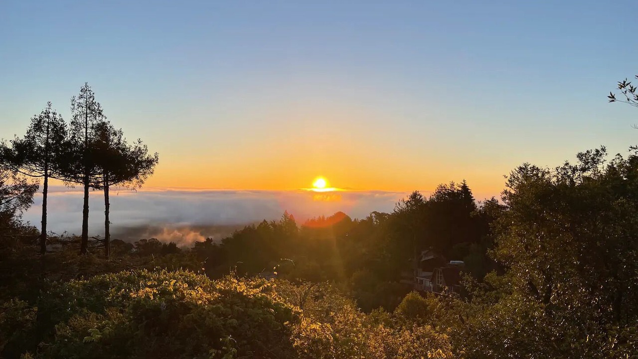 Photo of Others in Mill Valley